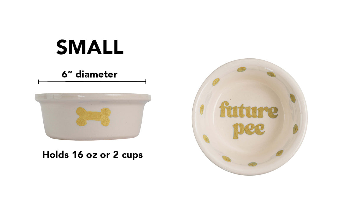 Future Pee Collection - Handmade Ceramic Pet Bowl with Funny Design
