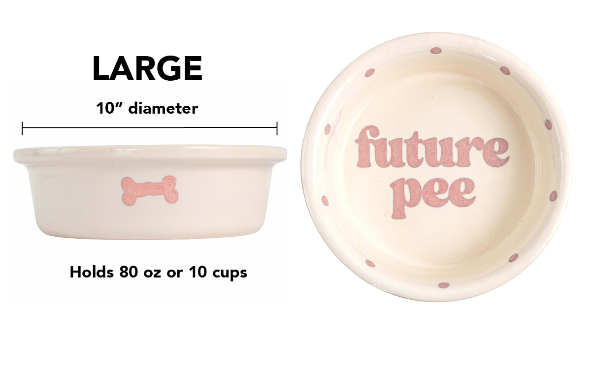 Future Pee Collection - Handmade Ceramic Pet Bowl with Funny Design