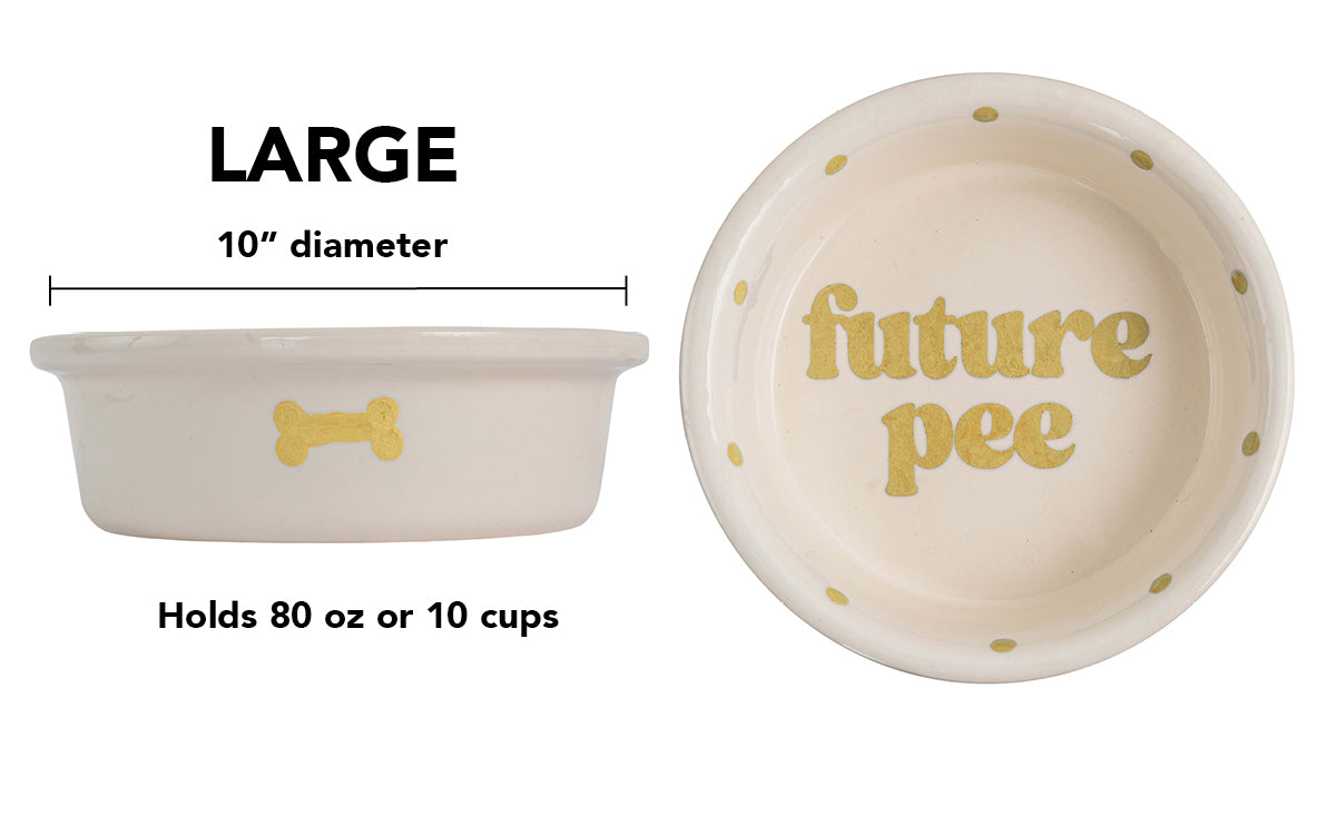 Future Pee Collection - Handmade Ceramic Pet Bowl with Funny Design