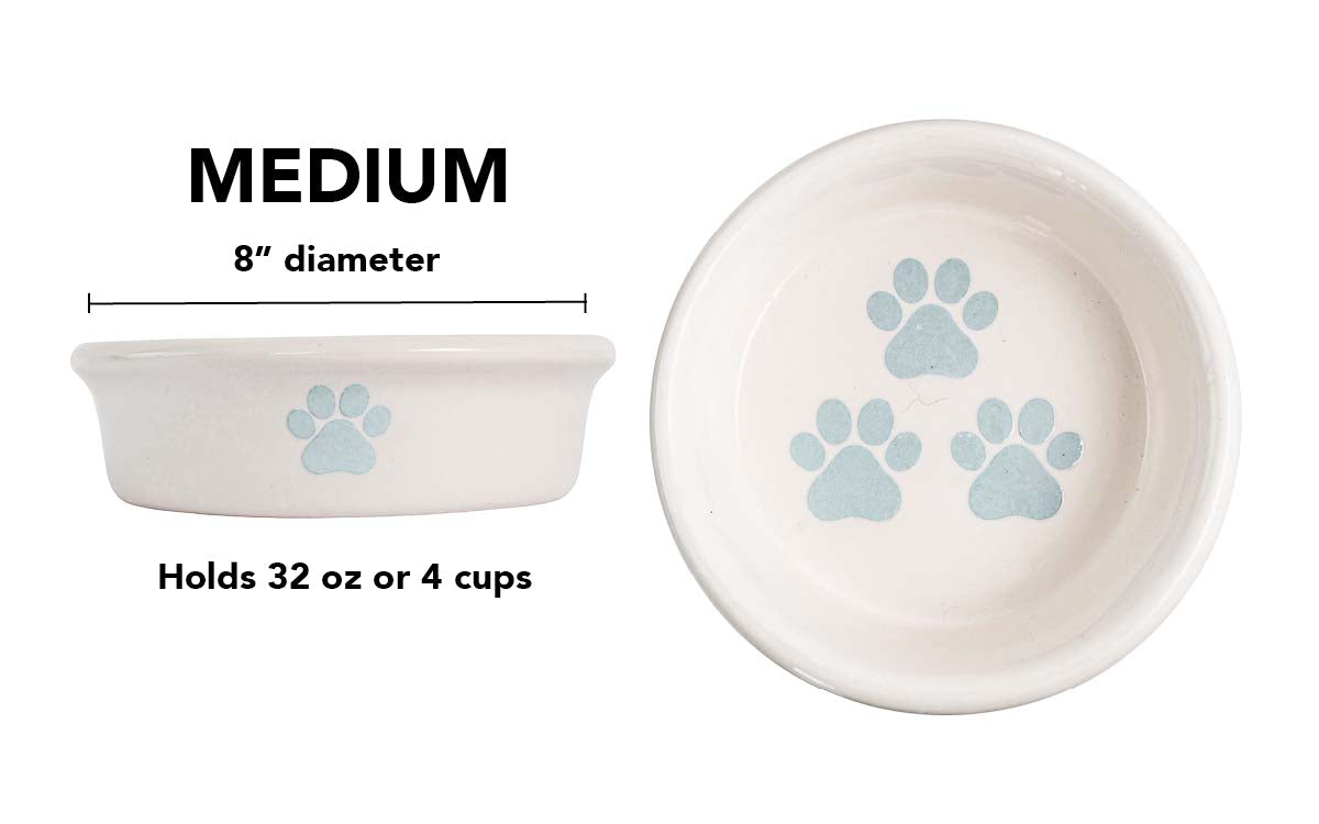 Pawsome Collection Alternate - Medium / Sky Blue
