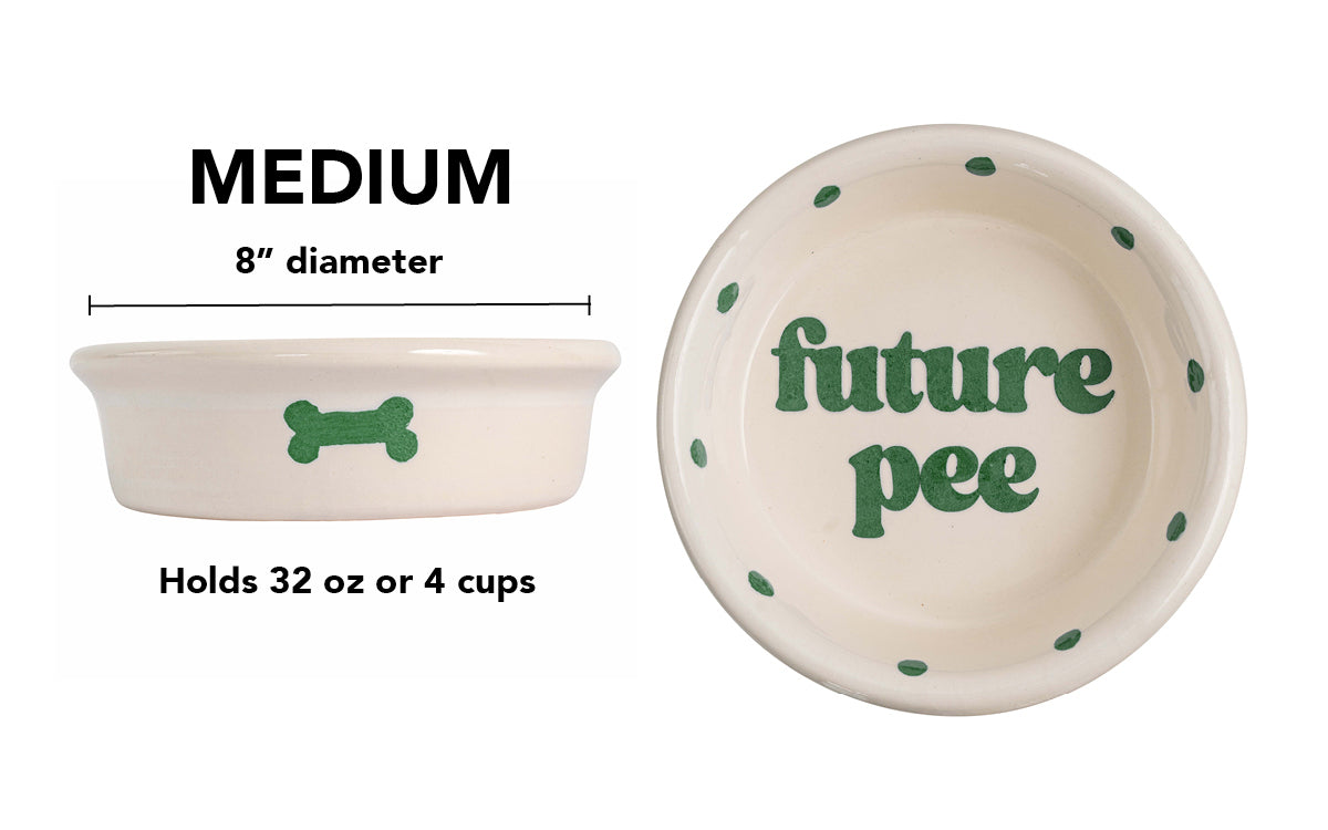 Future Pee Collection - Handmade Ceramic Pet Bowl with Funny Design