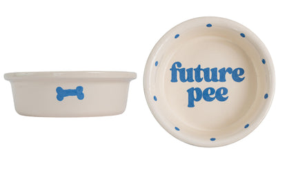 Future Pee Collection - Handmade Ceramic Pet Bowl with Funny Design
