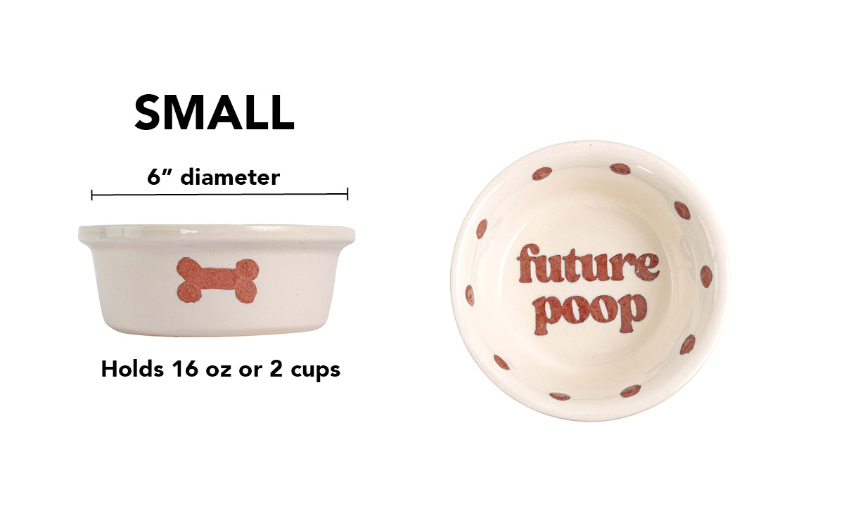 Future Poop Collection - Handmade Ceramic Pet Bowl with Funny Design