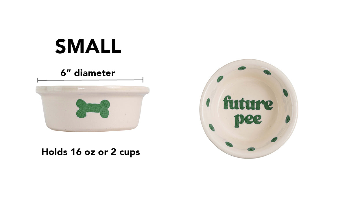 Future Pee Collection - Handmade Ceramic Pet Bowl with Funny Design