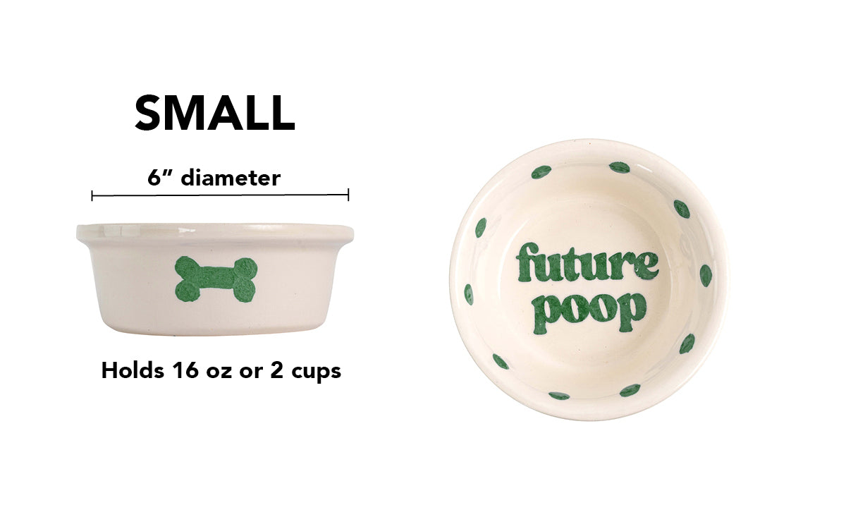 Future Poop Collection - Handmade Ceramic Pet Bowl with Funny Design