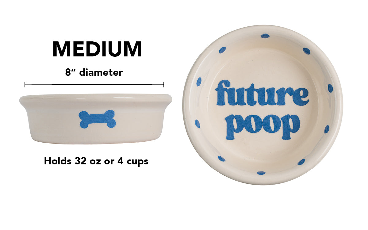 Future Poop Collection - Handmade Ceramic Pet Bowl with Funny Design