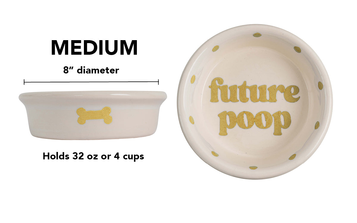 Future Poop Collection - Handmade Ceramic Pet Bowl with Funny Design