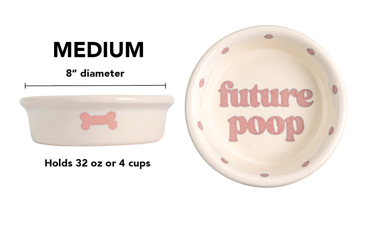 Future Poop Collection - Handmade Ceramic Pet Bowl with Funny Design