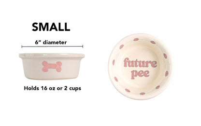 Future Pee Collection - Handmade Ceramic Pet Bowl with Funny Design