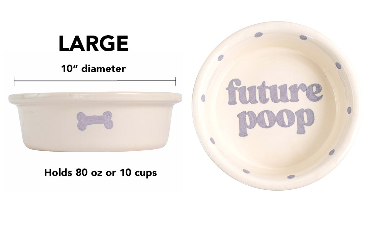 Future Poop Collection - Handmade Ceramic Pet Bowl with Funny Design