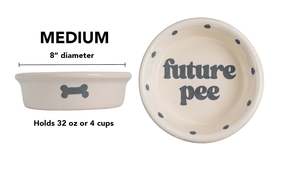 Future Pee Collection - Handmade Ceramic Pet Bowl with Funny Design