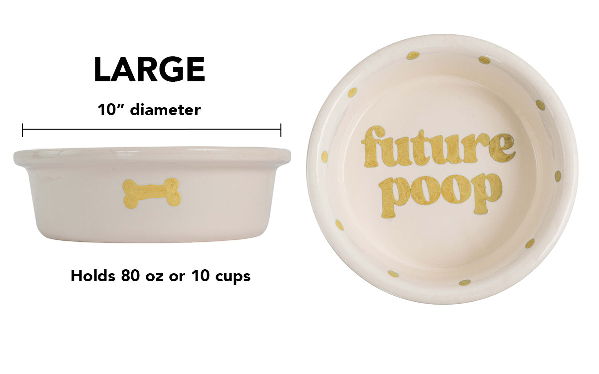 Future Poop Collection - Handmade Ceramic Pet Bowl with Funny Design