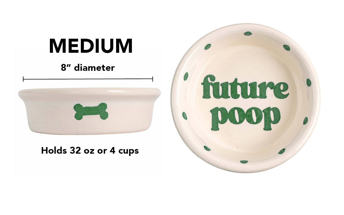 Future Poop Collection - Handmade Ceramic Pet Bowl with Funny Design
