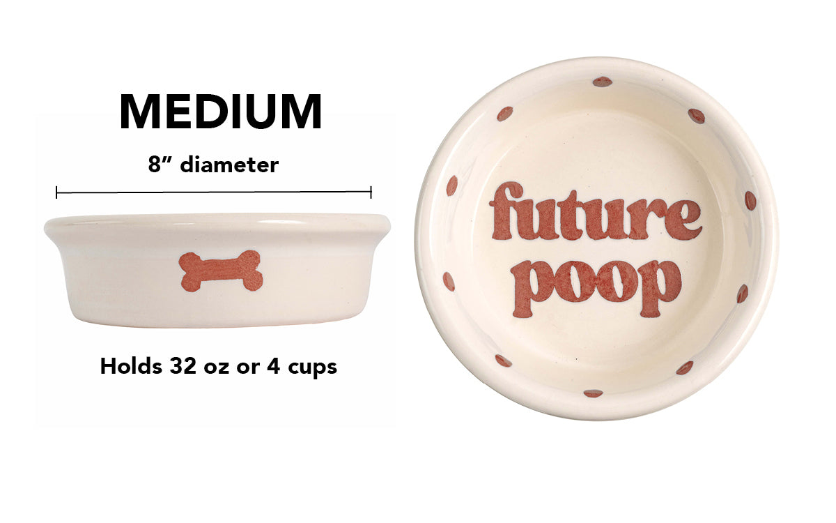 Future Poop Collection - Handmade Ceramic Pet Bowl with Funny Design