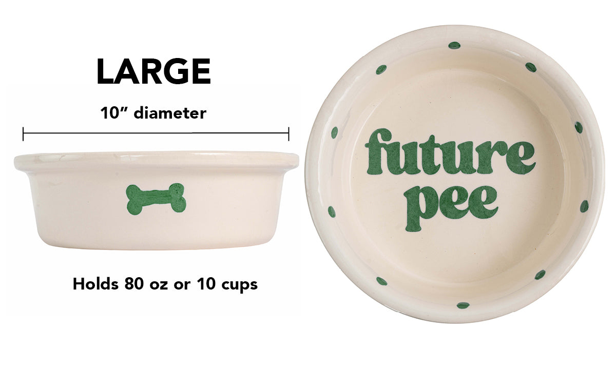 Future Pee Collection - Handmade Ceramic Pet Bowl with Funny Design