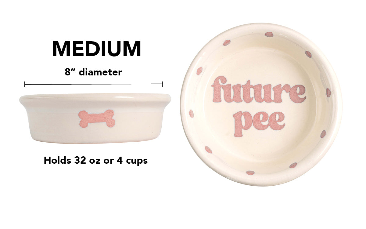 Future Pee Collection - Handmade Ceramic Pet Bowl with Funny Design